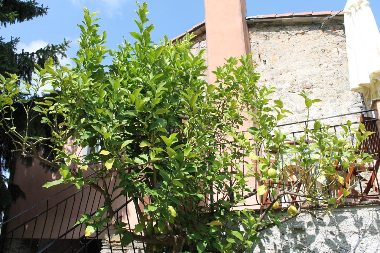 Agriturismo Terrazza Sul Golfo - Il Casale La Spezia Ngoại thất bức ảnh